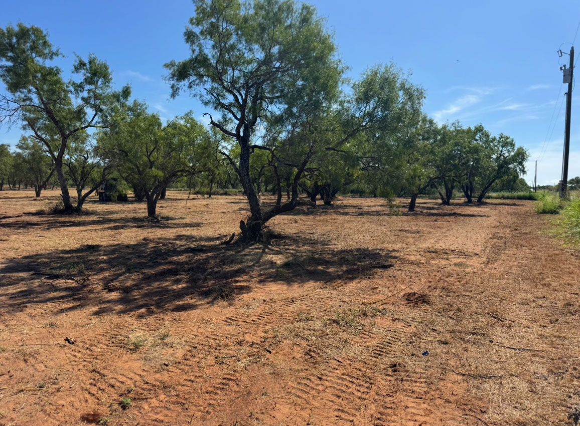 Heavy equipment clearing brush and trees from a property